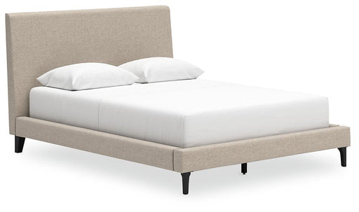 Cielden Upholstered Bed with Roll Slats image